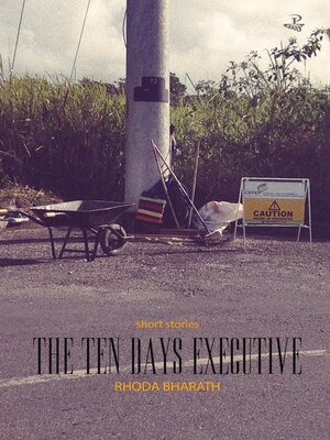 cover image of The Ten Days Executive